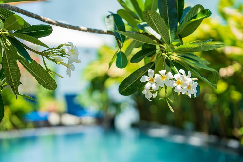 Coco Island Villa هوي ان المظهر الخارجي الصورة